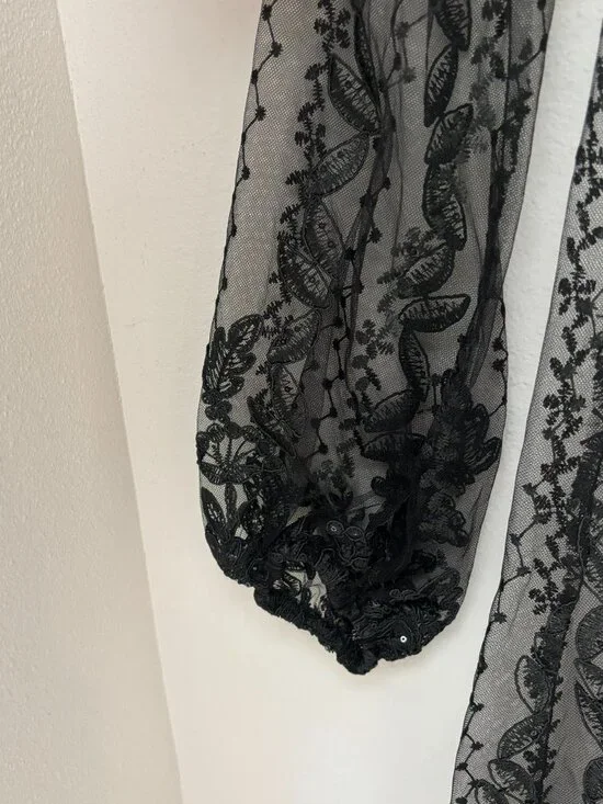 Zara Black Embroidered Lace Sheer Midi Dress Long Sleeve NWT M - Picture 4 of 6